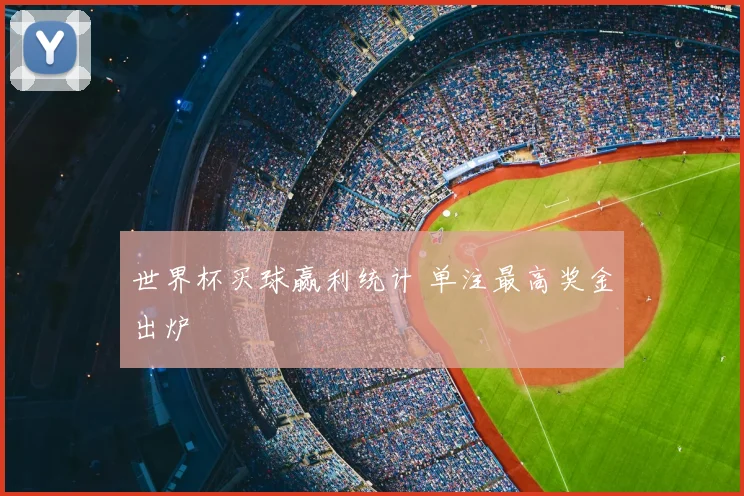 世界杯买球赢利统计 单注最高奖金出炉