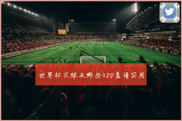 世界杯买球衣哪些app靠谱实用